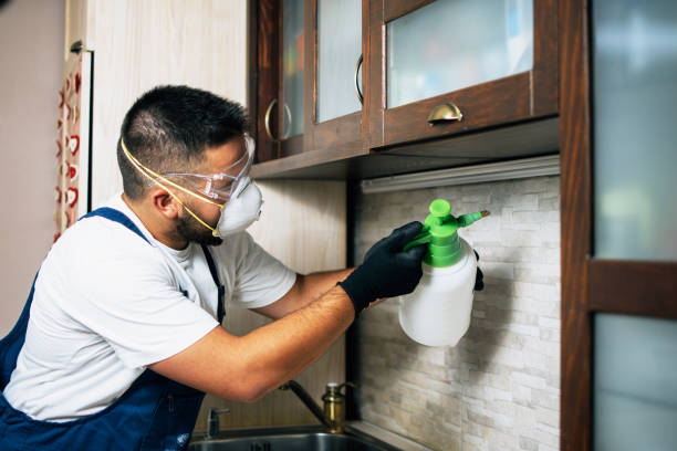 Best Local Pest Control Services  in Floresville, TX