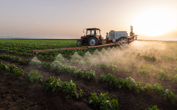 Best Pest Inspection Near Me  in Floresville, TX