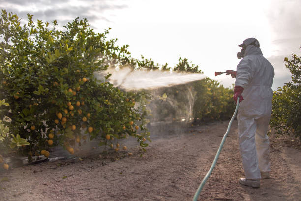 Best Pest Control for Restaurants  in Floresville, TX