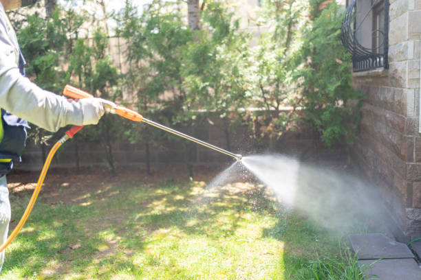 Best Pest Control Near Me in Floresville, TX
