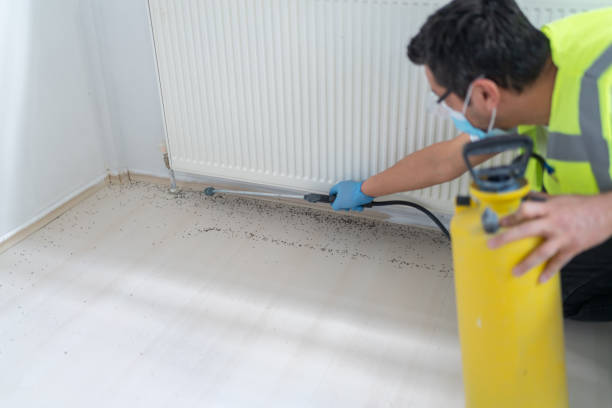 Best Insect Control  in Floresville, TX